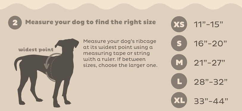 Kayak attachment for dog-size guide
