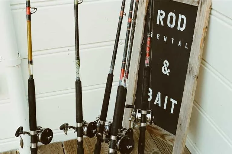 fishing rod material