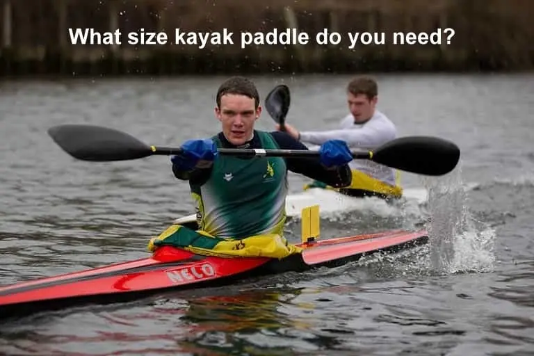 kayak paddle size expert guide