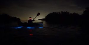 luminescence kayaking